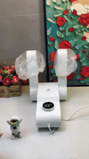 Electric Shoe Dryer & Warmer